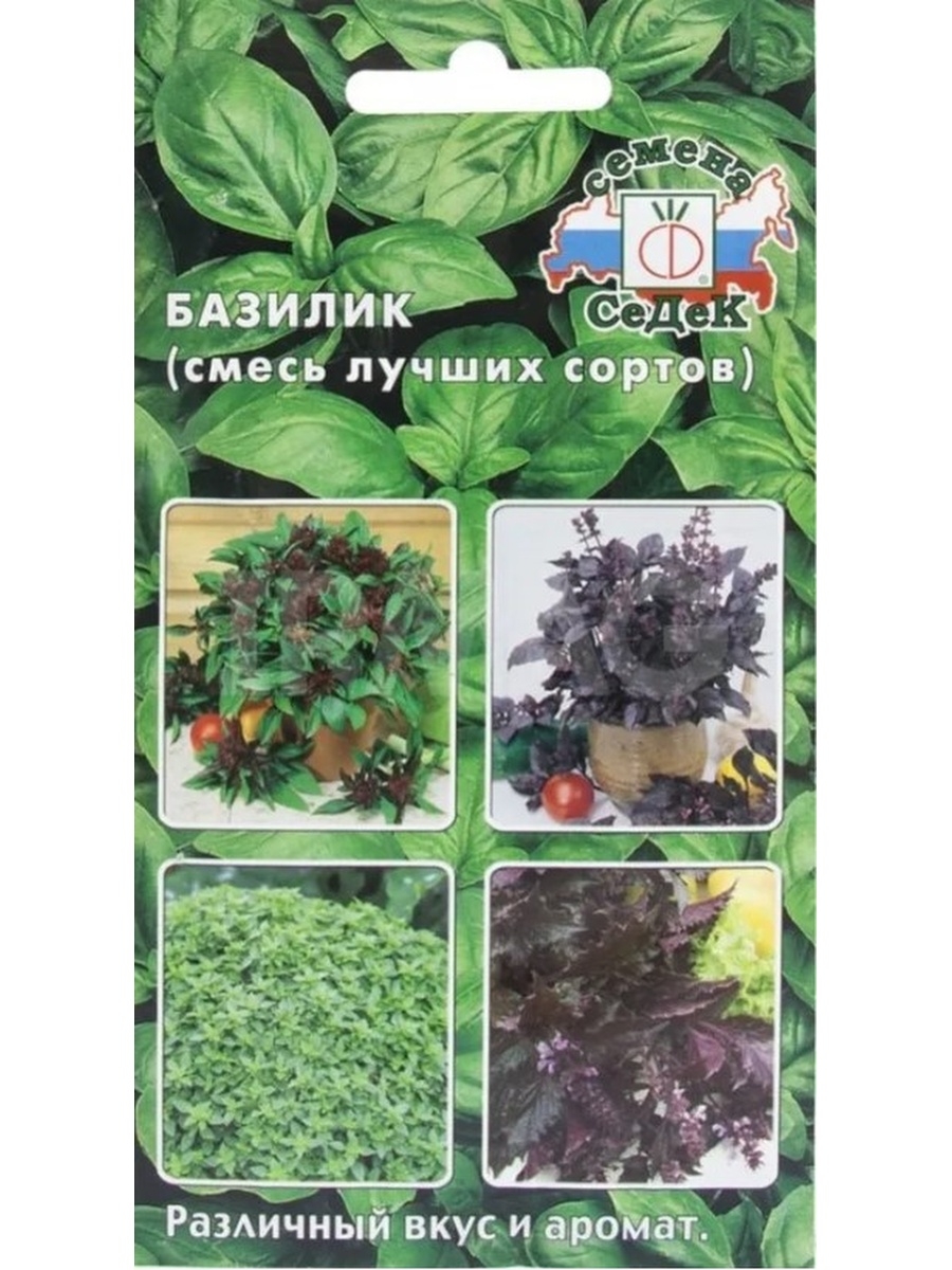 Смесь базилика. Базилик смесь сортов. Семена базилик Ереванский изумруд. Базилик от СЕДЕК. Семена базилик смесь.