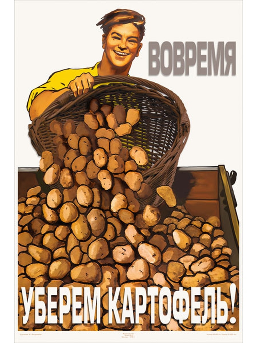 Урожай картошки на советских плакатах