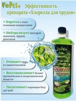 Хлорелла для прудов, водоемов,фонтанов