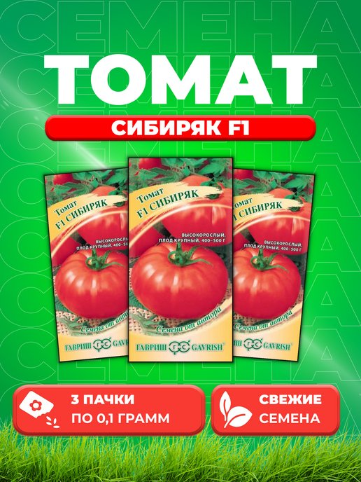 Томаты сибиряк описание и фото