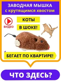 Интерактивная игрушка для кошек заводная мышка мышь