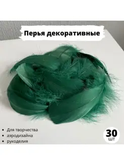 Перья для рукоделия декоративные