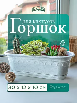 Горшок для кактусов и растений кактусница