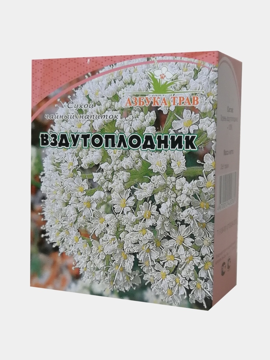 Вздутоплодник сибирский фото