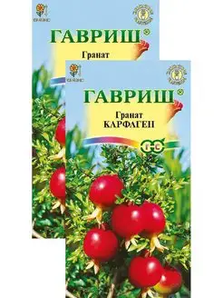 Гранат Карфаген карликовый (5 семян), 2 пакета