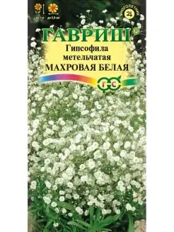 Гипсофила Махровая белая 0,1 г, 2 пакета