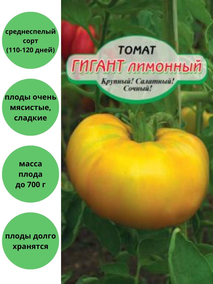 Семена томат гигант лимонный