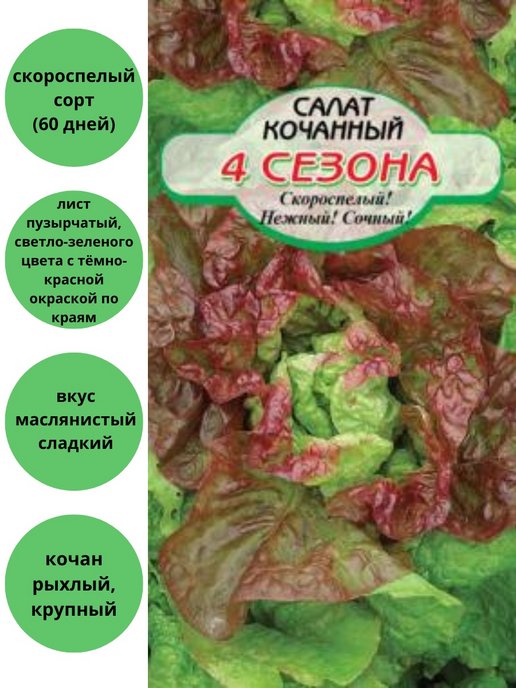 Кочанный салата красного цвета