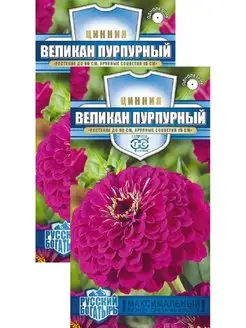 Цинния Великан пурпурный (0,3 г), 2 пакета