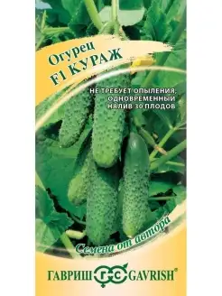 Огурец Кураж F1 (10 семян), 2 пакета