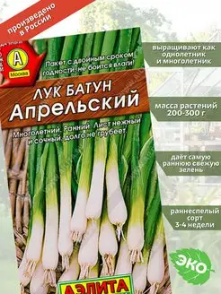 Лук батун Апрельский