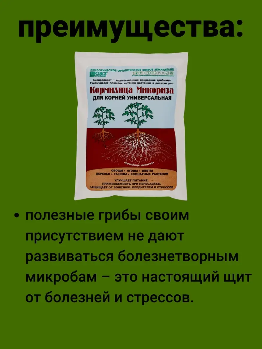 Микориза удобрение применение. Кормилица микориза 1 л. Микориза БАШИНКОМ кормилица 1л.