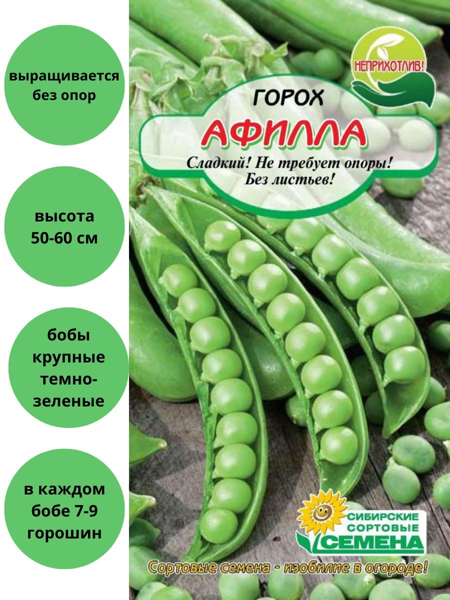 Горох афилла описание сорта фото