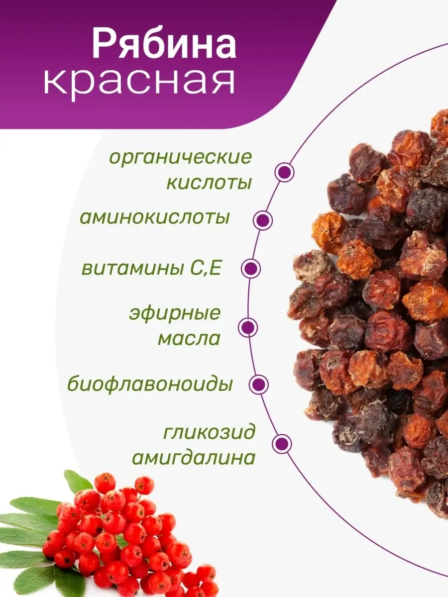 Рябина сушеная польза. Сухая рябина. Засушенная рябина. Рябина сырье. Рябина сушеная.