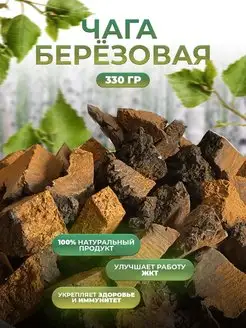 Чага Березовая