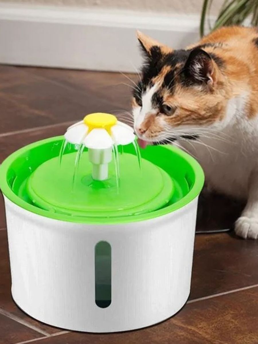 Поилка фонтан. Cat Water Fountain Catit. Поилка-фонтан для кошек и собак Pet Fountain. Cat it Catit поилка фонтан цветок нержавеющая сталь 3л led 760 г 43725. Миска для кота фонтан.