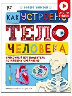 Как устроено тело человека. Энциклопедия для детей