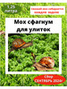 Мох сфагнум свежий для улиток и растений 2024г бренд Чистый Мох продавец Продавец № 512262