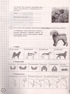 Впр биология 8 класс образец