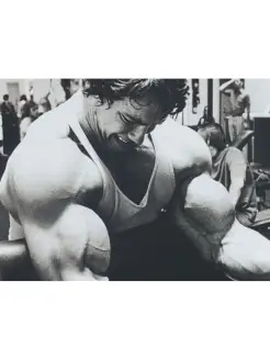 Arnold Schwarzenegger (Арнольд Шварценеггер)