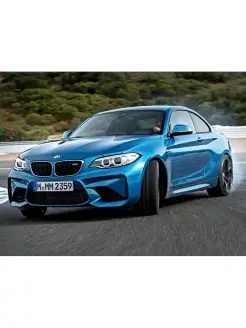 BMW M2 (БМВ)