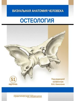 Визуальная анатомия человека. Карточки. Остеология (51 шт.)