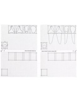 Схематичное изображение контуров зубов рабочая тетрадь