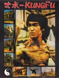 Bruce Lee - Kung Fu