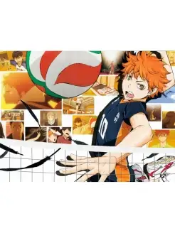 Haikyuu, Волейбол