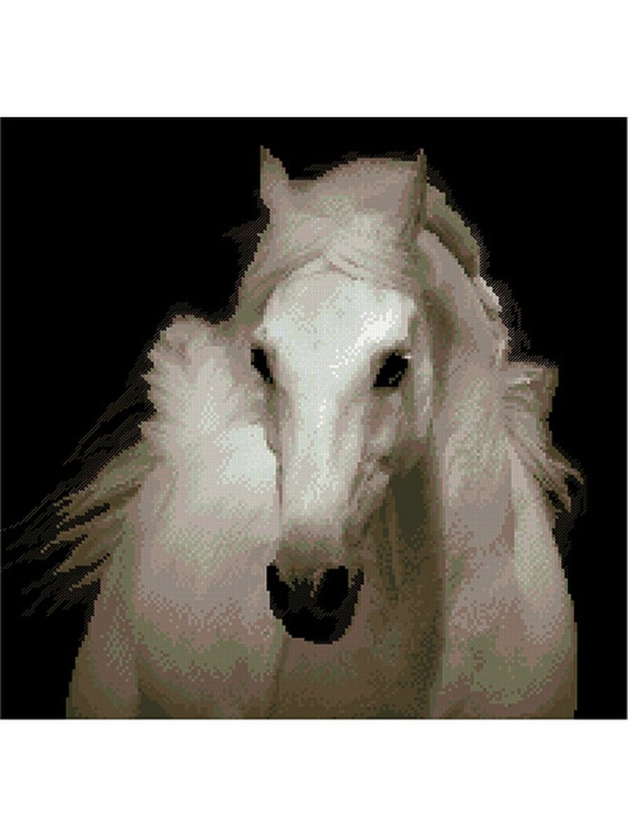 Голова белой лошади