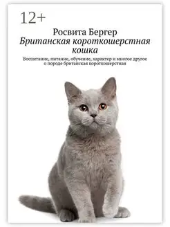 Британская короткошерстная кошка