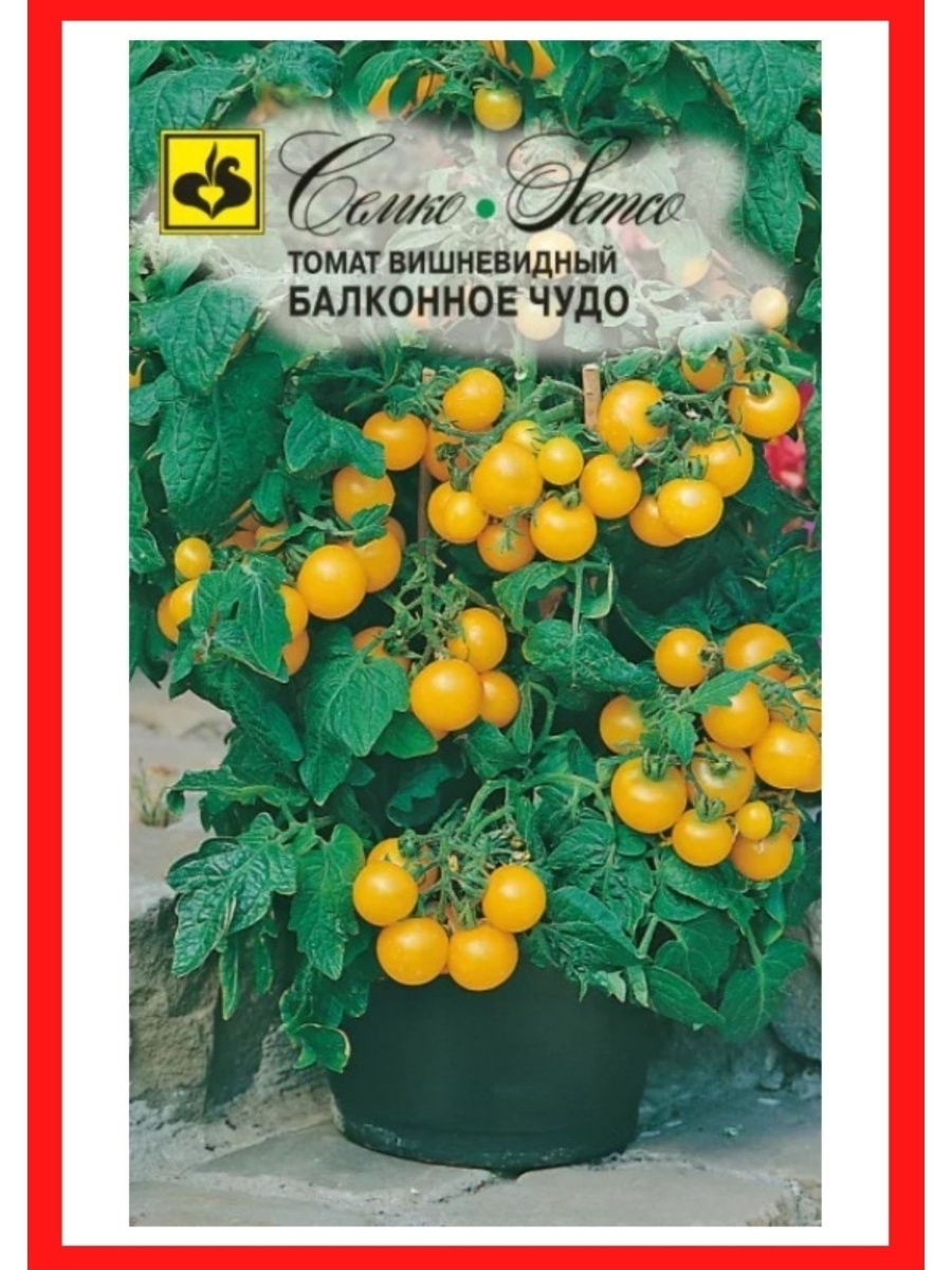 Семена помидор балконное чудо