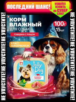 Влажный корм для собак Jolly Dog 100г х 15шт