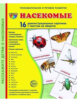 Насекомые.16 демонстрационных картинок 174х220