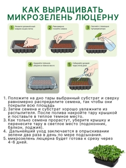 Технологическая карта люцерны