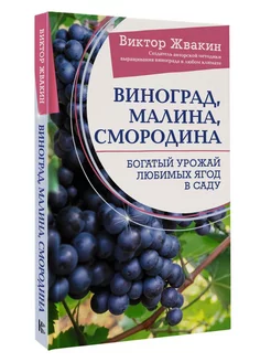 Виноград, малина, смородина. Богатый урожай любимых ягод в