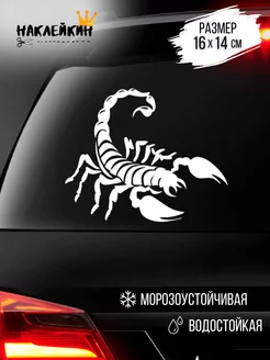 Наклейка на авто "Скорпион" 16 см