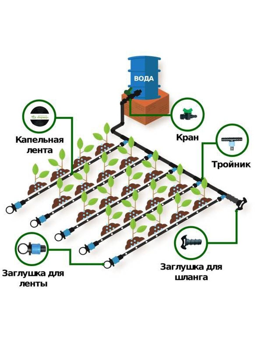 Схема капельного полива с таймером в теплице