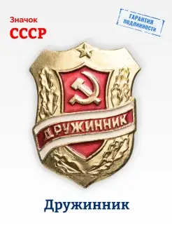 Значок СССР Дружинник