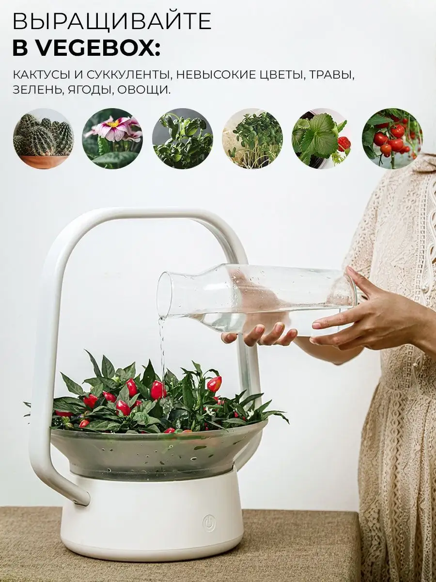 Гидропонная установка для выращивания зелени в домашних условиях