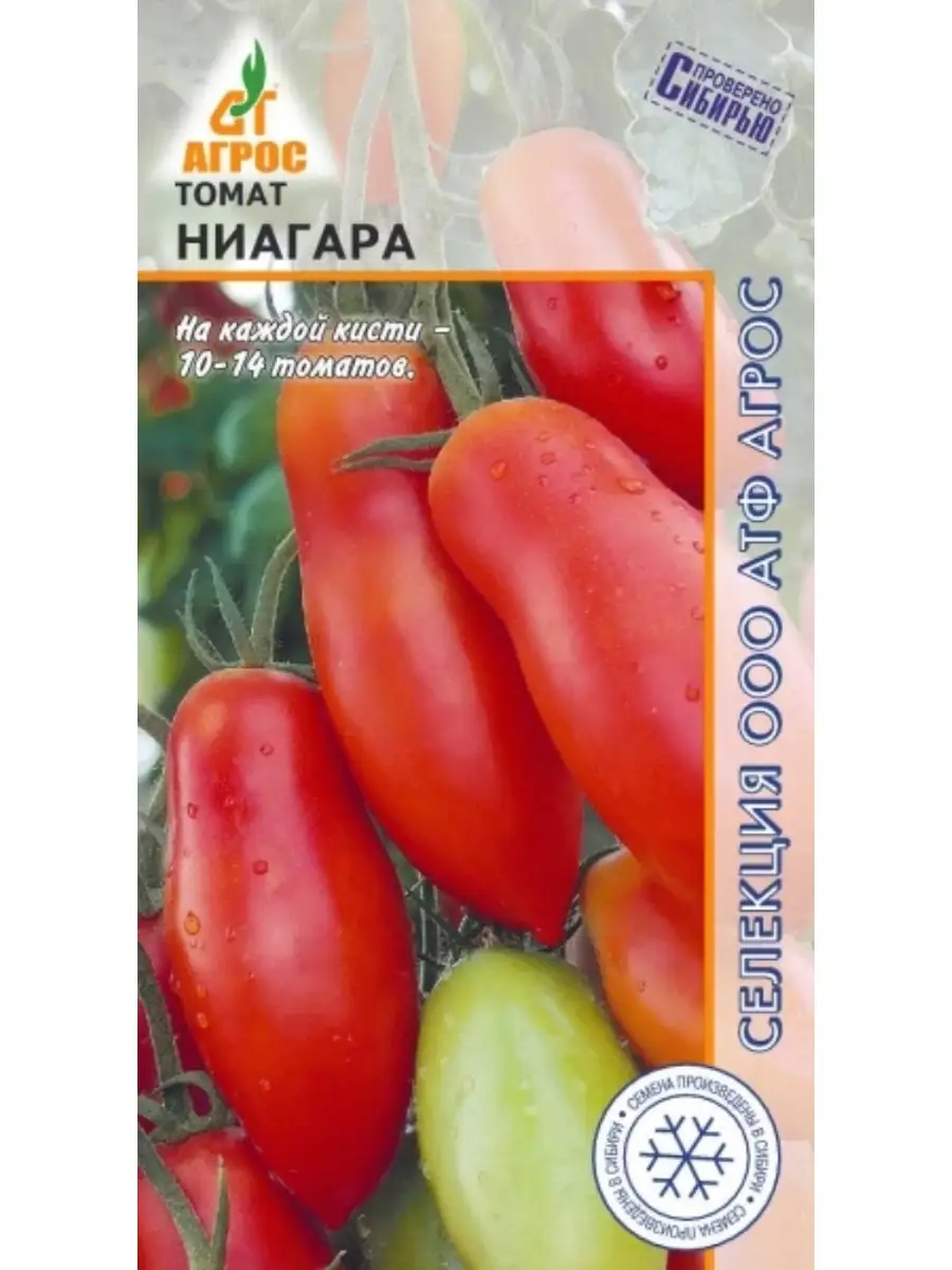 Томат ниагара описание сорта. Томат ниагара агрос. томат ниагара (0,08 г) агрос. томат ниагара семена. сорт помидор ниагара.