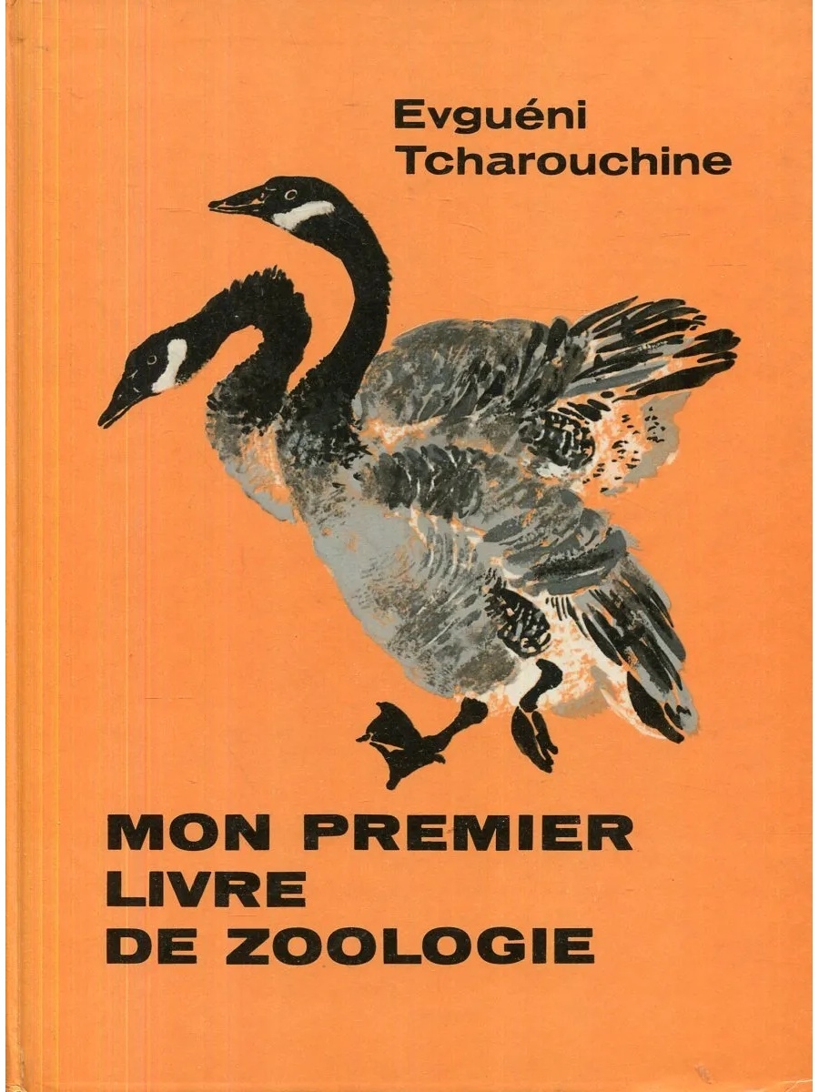 Моя первая зоология книга о птицах. Чарушин. Моя первая Зоология. Чарушин на нашем дворе.