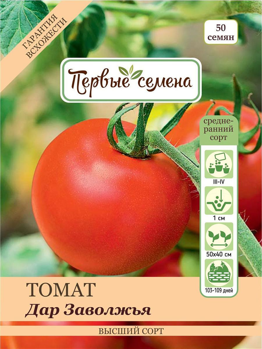 Сорт томата дары Заволжья