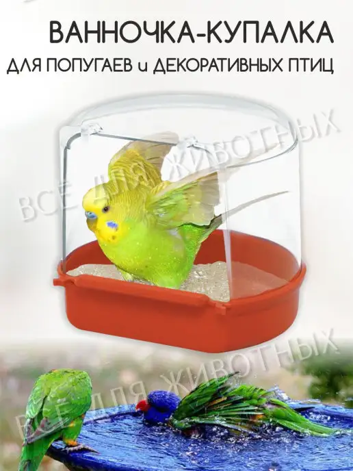 Ванна для попугая