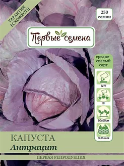 Капуста к к Антрацит, 1 г