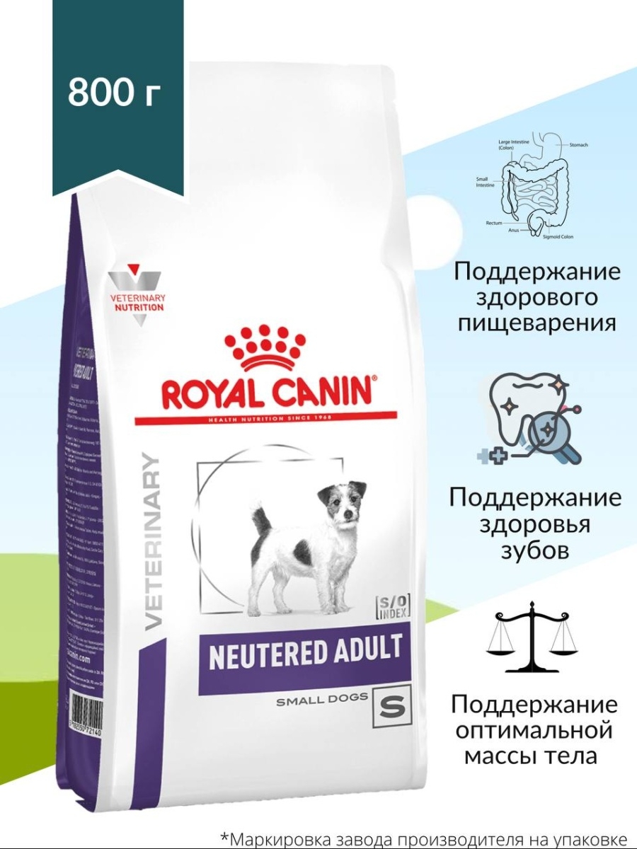 Royal canin neutered dog. Роял Канин Neutered Adult для собак. Роял Канин для стерилизованных собак мелких пород. Роял Канин для кастрированных собак. Корм для собак Royal Canin мелких пород 800г сухой.