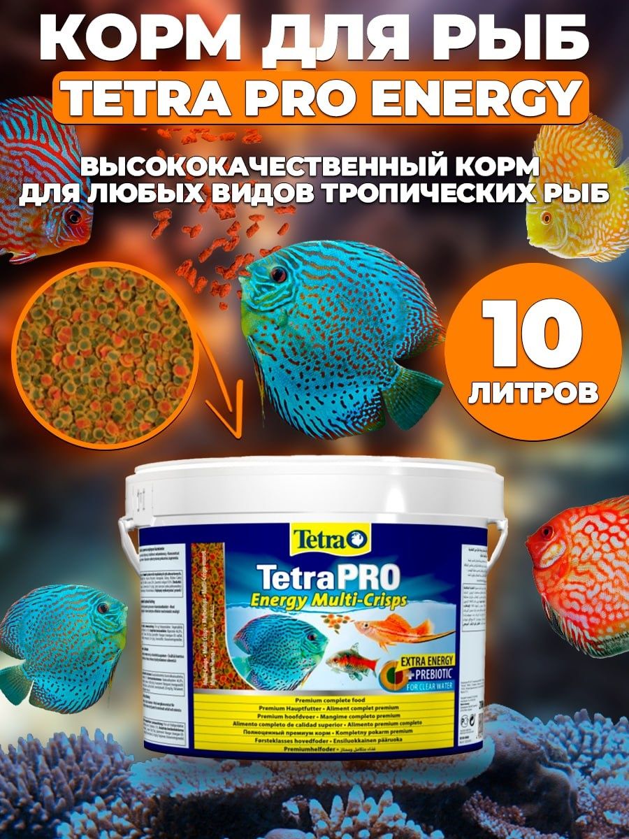 Tetrapro algae crisps раст корм для всех видов рыб в чипсах 12 г sachet фото 95