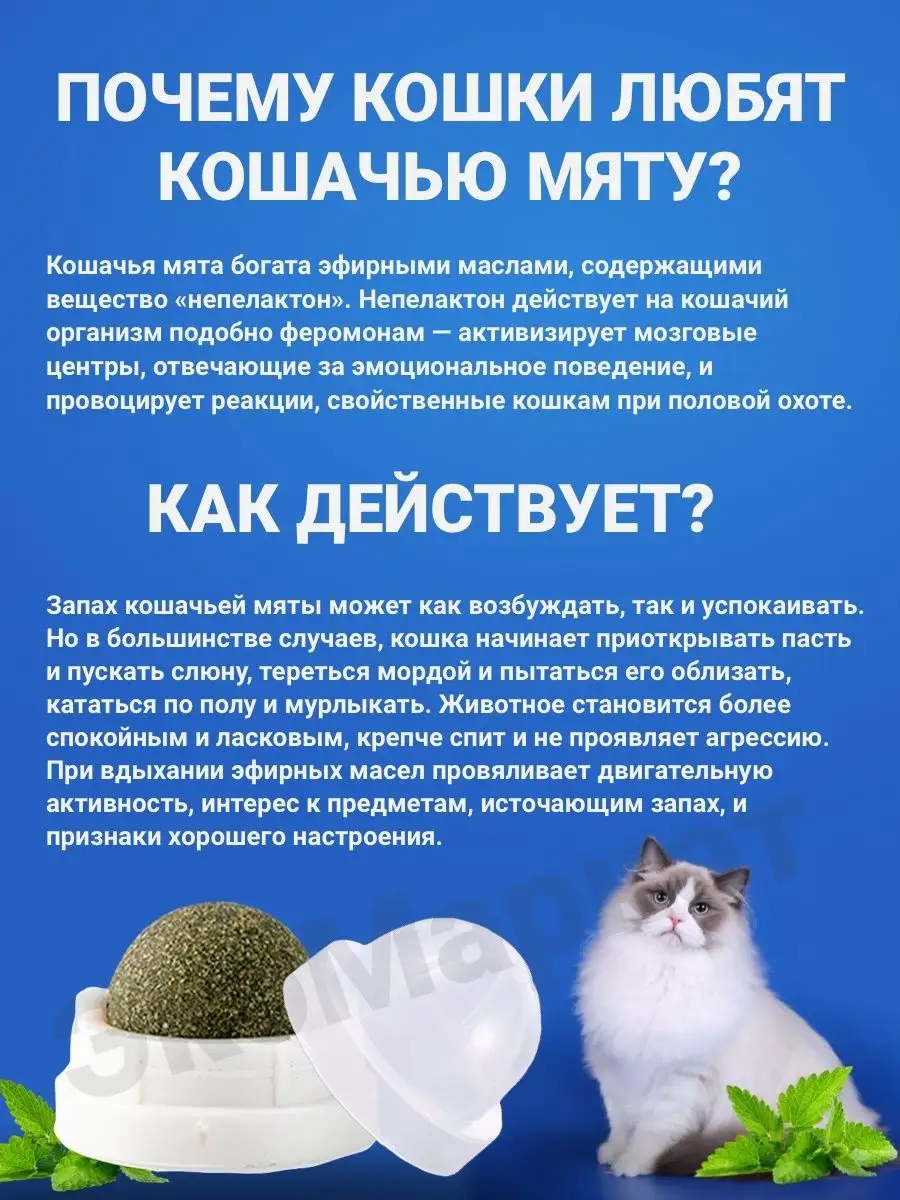 Кошачья мята шарик сколько можно давать. Из чего состоит кошачья мята. Кошачья мята шарик лизун на белом фоне. Кошачья мята шарик лизун на белом фоне. Кошачья мята шарик сколько можно давать.