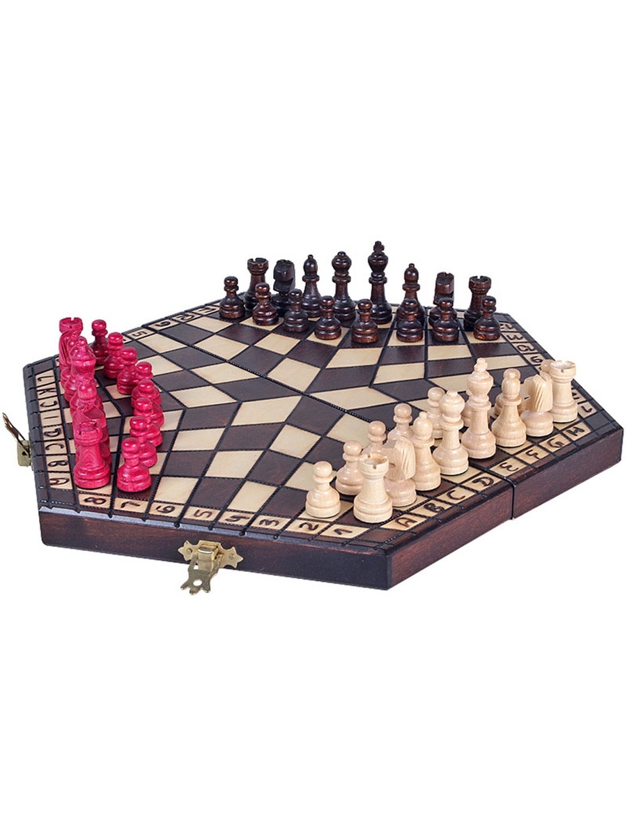 Виды шахмат. LEGO 40174. Шахматы Мадон. Madon шахматы на троих средние. Шахматы Мадон Польша.