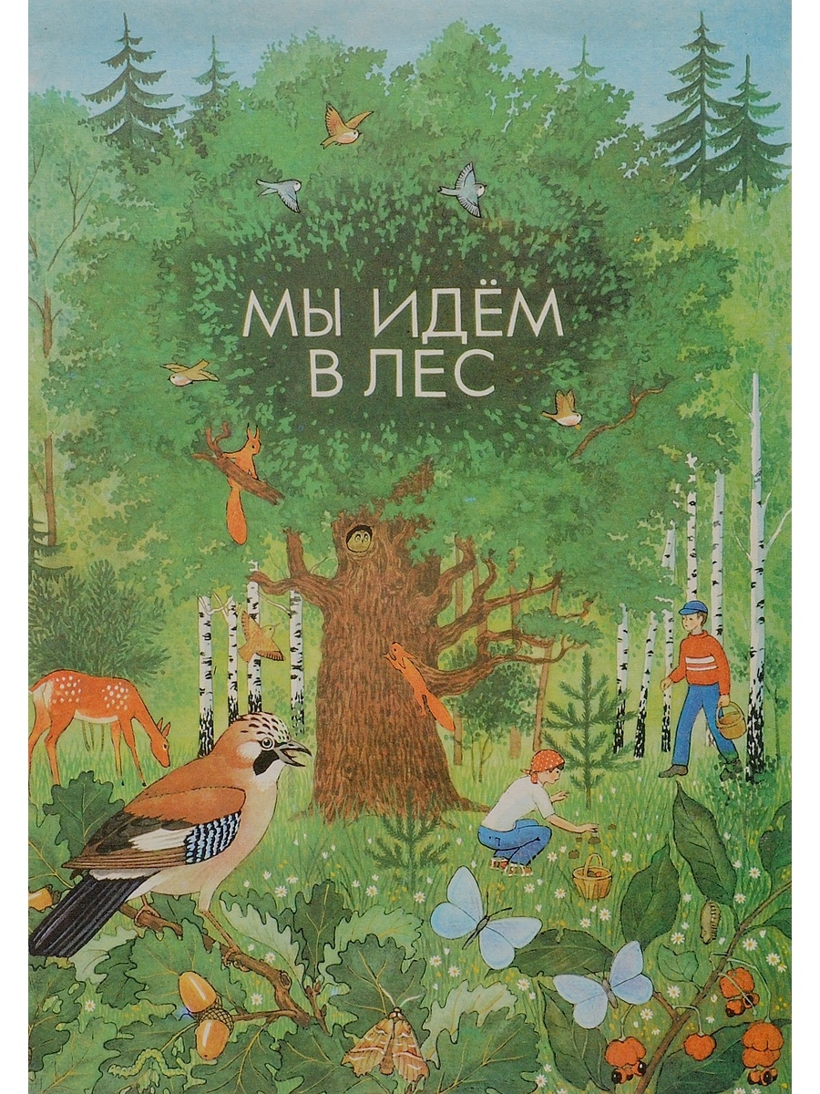 Обложка лесная. Книги о лесе для детей. Мы идем в лес книга. Обложка книги лес. Детские книги про лес.